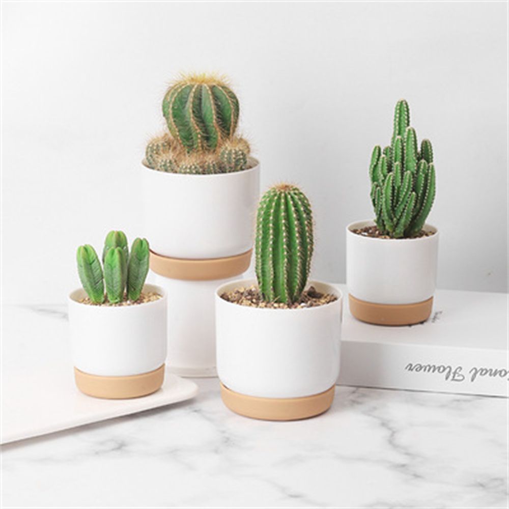 Orchid Potting Mix - Pot de fleurs rond pour plantes