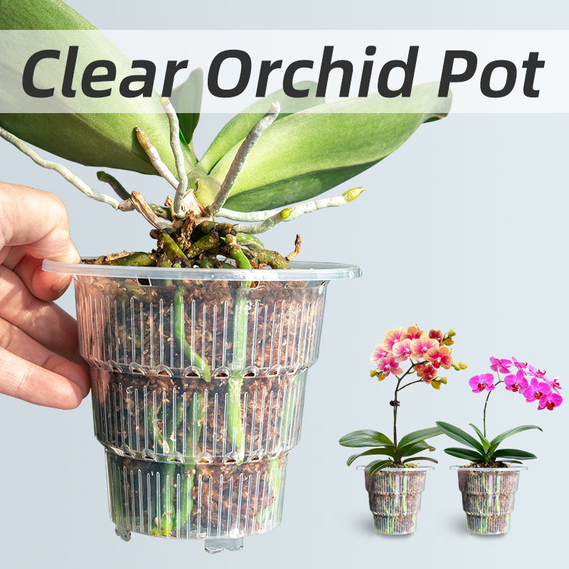 Orchid Potting Mix - Meshpot-Pots d'orchidées en plastique transparent avec