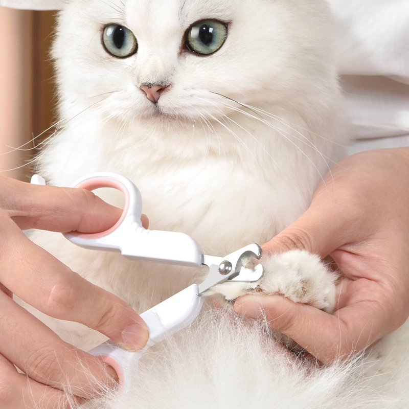 Gardening Tools Wholesale - Coupe-ongles pour chiens, chats et chiots
