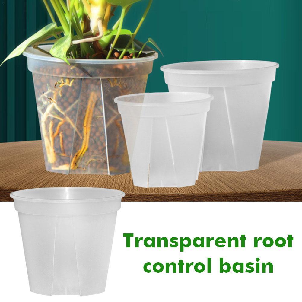 Orchid Potting Mix - Pots de fleurs en plastique transparent