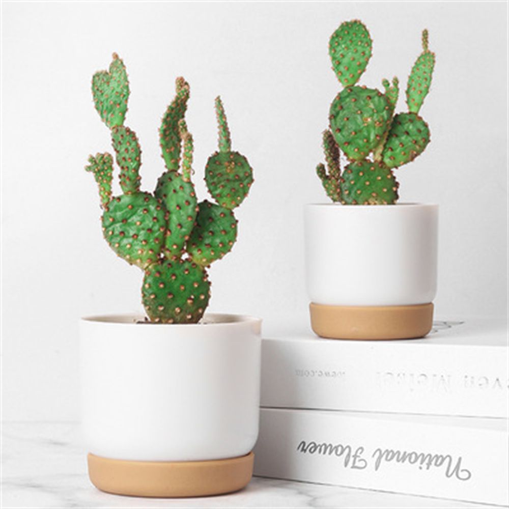 Pot de fleurs rond pour plante - Orchid Potting Mix avis et prix