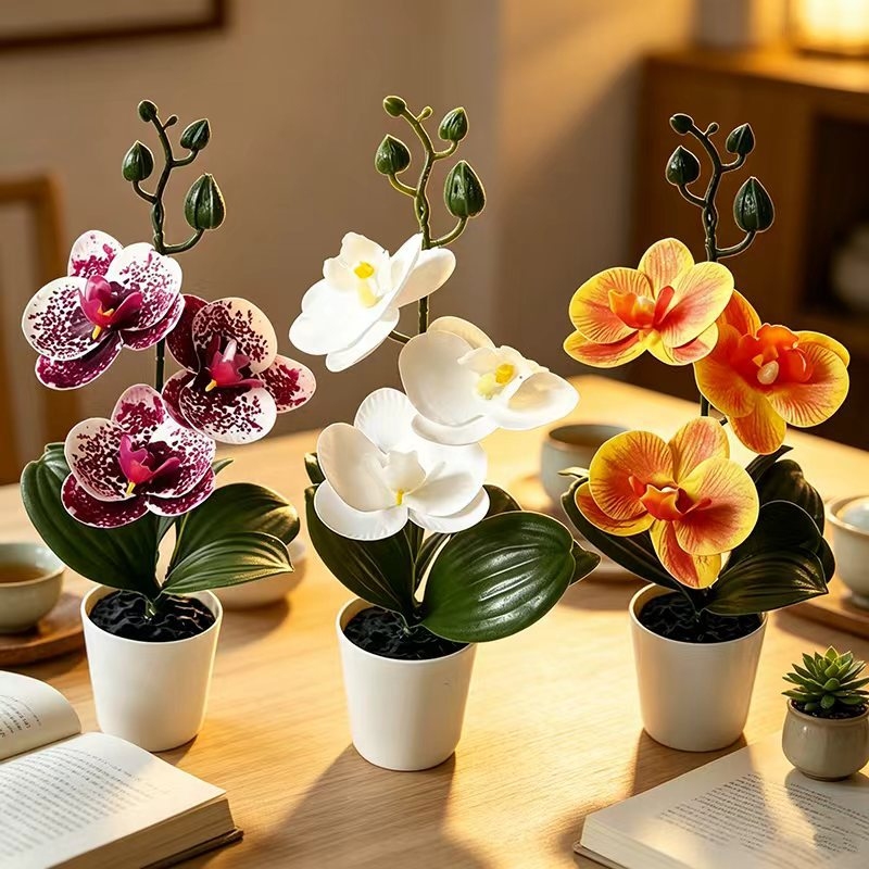 Mini orchidée papillon en pot  - Orchid Potting Mix avis et prix