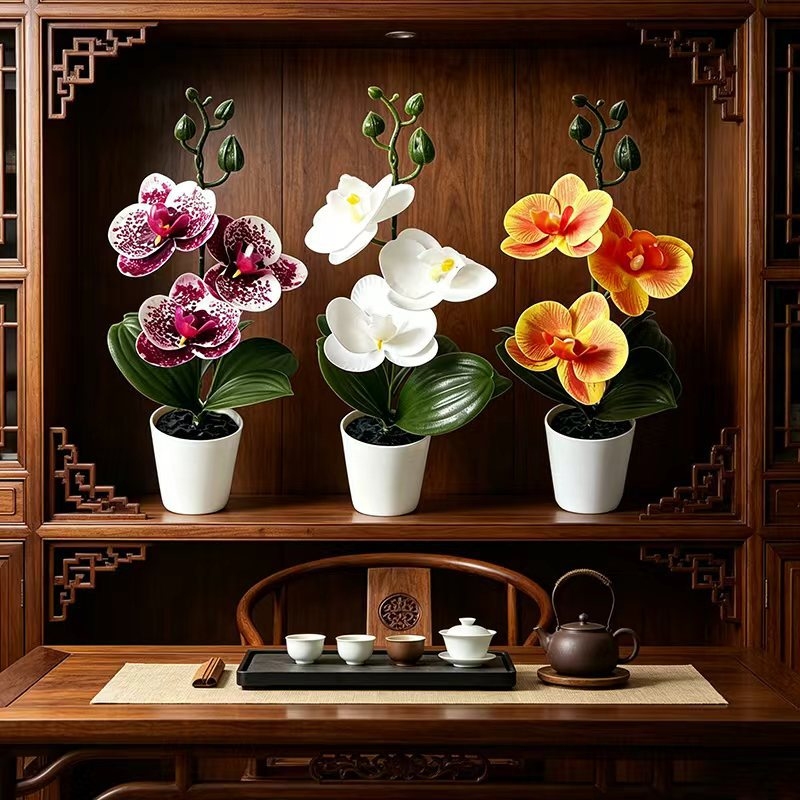 Mini orchidée papillon en pot  - Orchid Potting Mix avis et prix