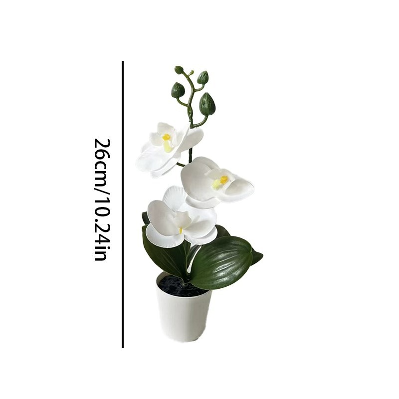 Mini orchidée papillon en pot  - Orchid Potting Mix avis et prix