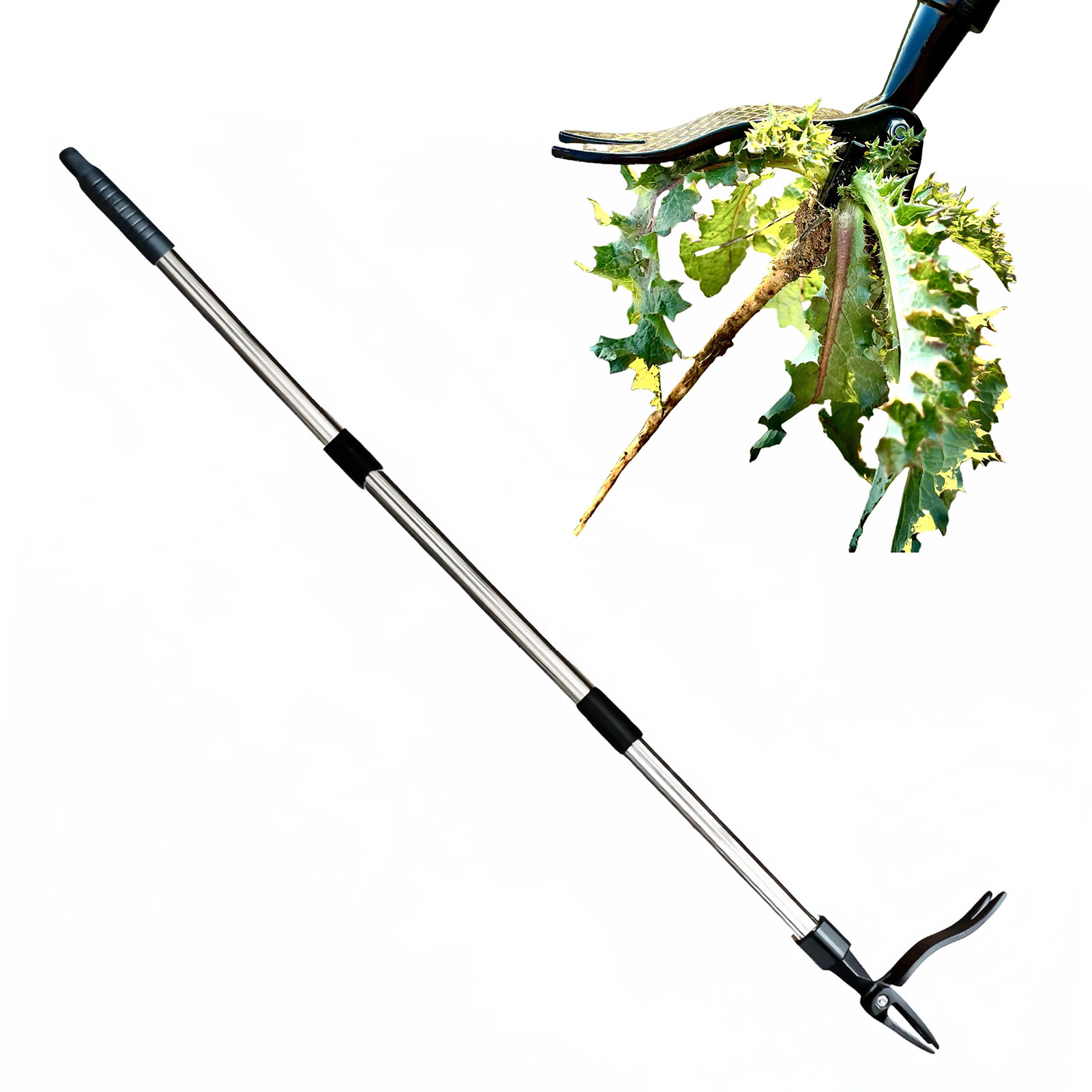 Extracteur de mauvaises herbes - Gardening Hand Tools Yard avis et prix