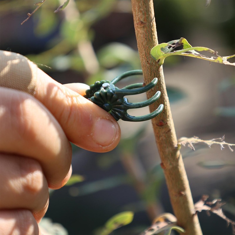 Clips de Soutien Mini en Gros  - Gardening Tools Wholesale avis et prix