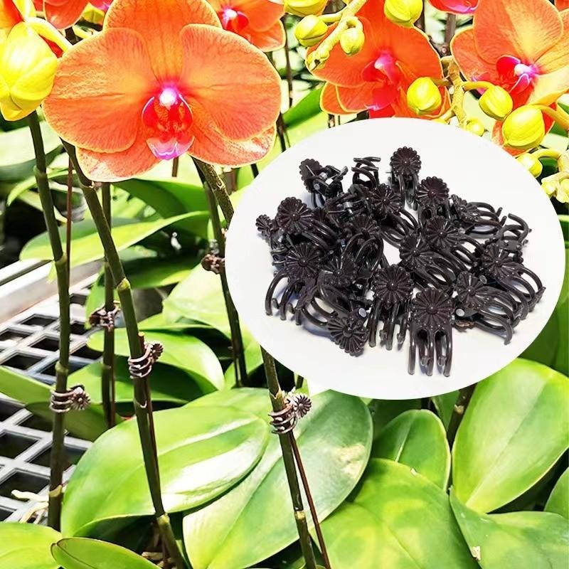 Clips de Soutien Mini en Gros  - Gardening Tools Wholesale avis et prix