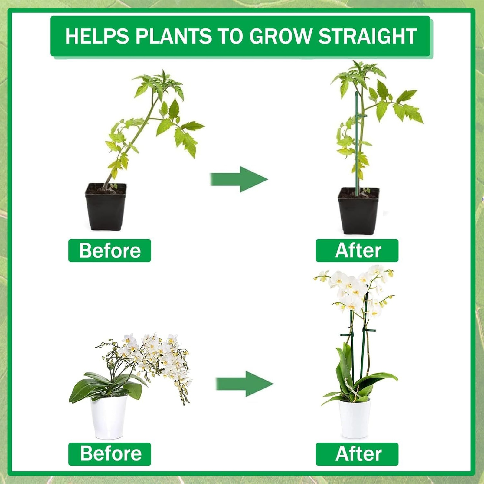 Supports de plantes, tuteurs p - Orchid Potting Mix avis et prix