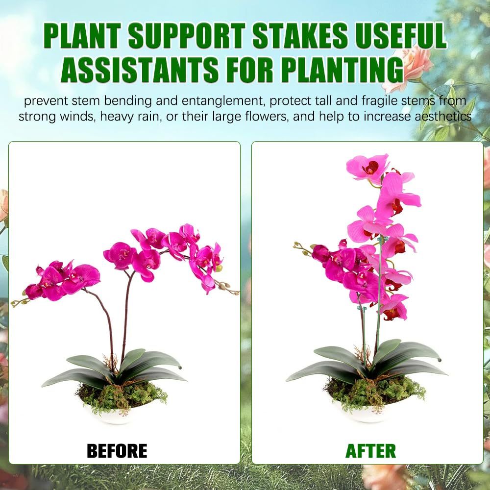 Supports pour plantes, papillo - Orchid Potting Mix avis et prix