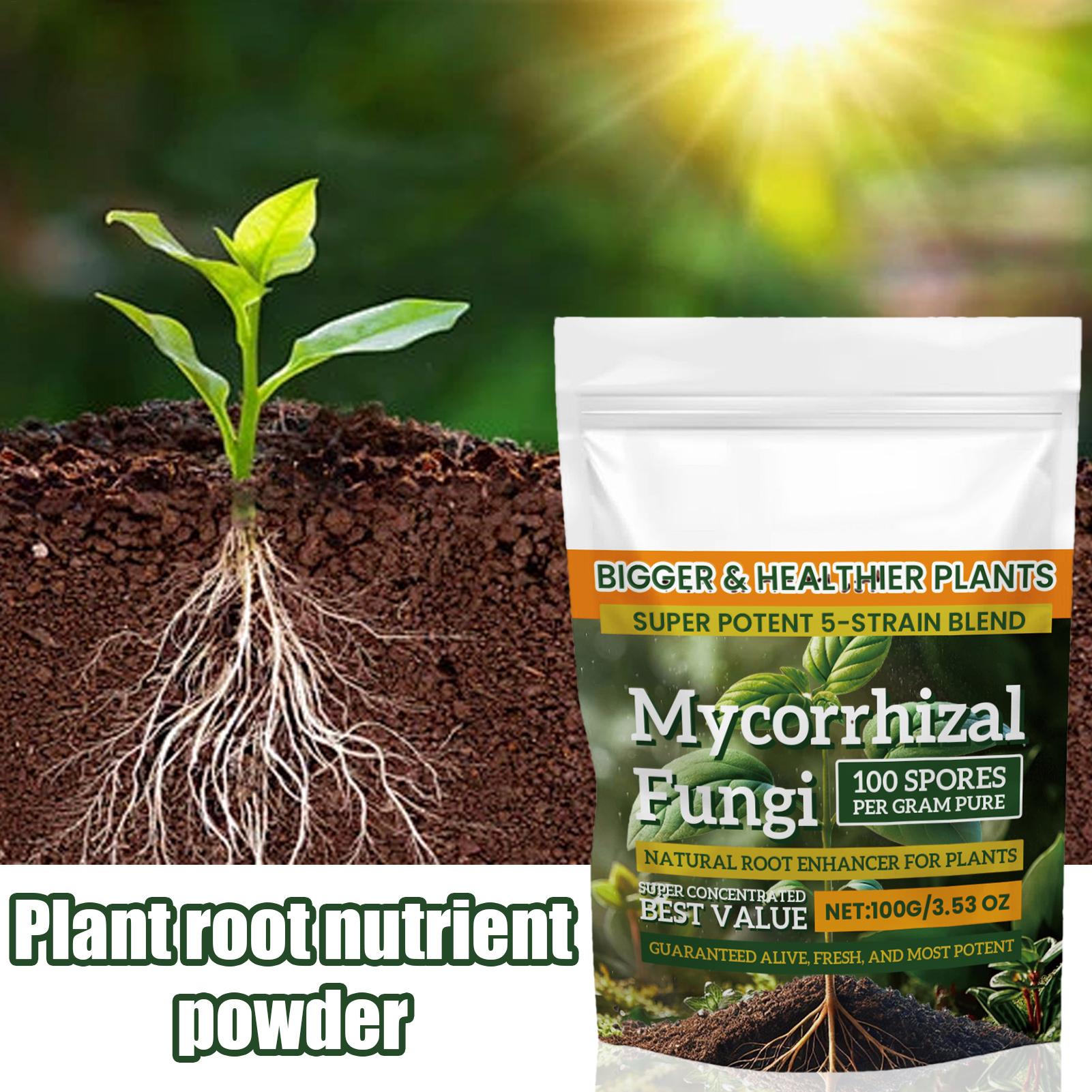 Nouvelle poudre nutritive pour - Orchid Potting Mix avis et prix