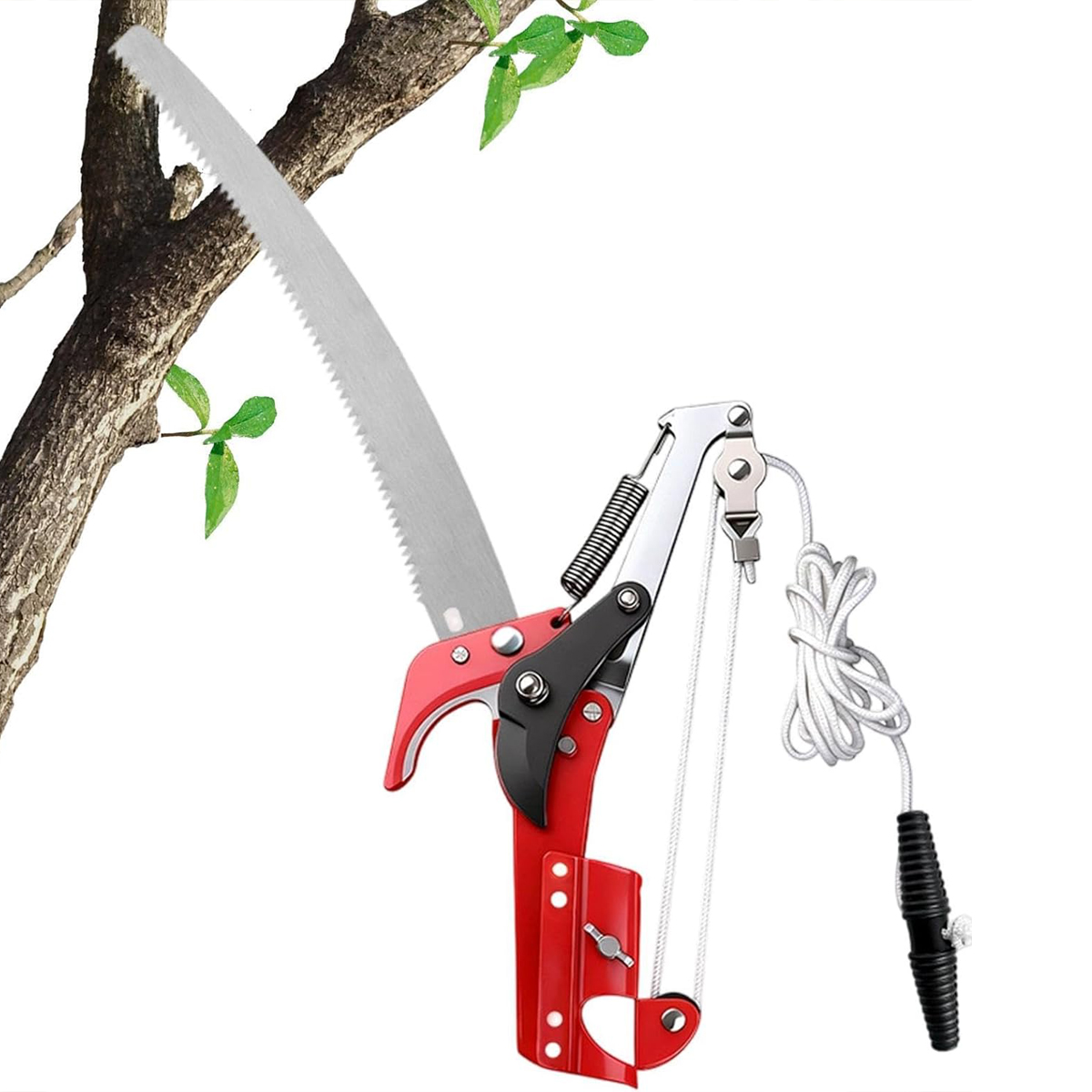 Sécateurs d'élagage pour haute - Gardening Tools Wholesale avis et prix