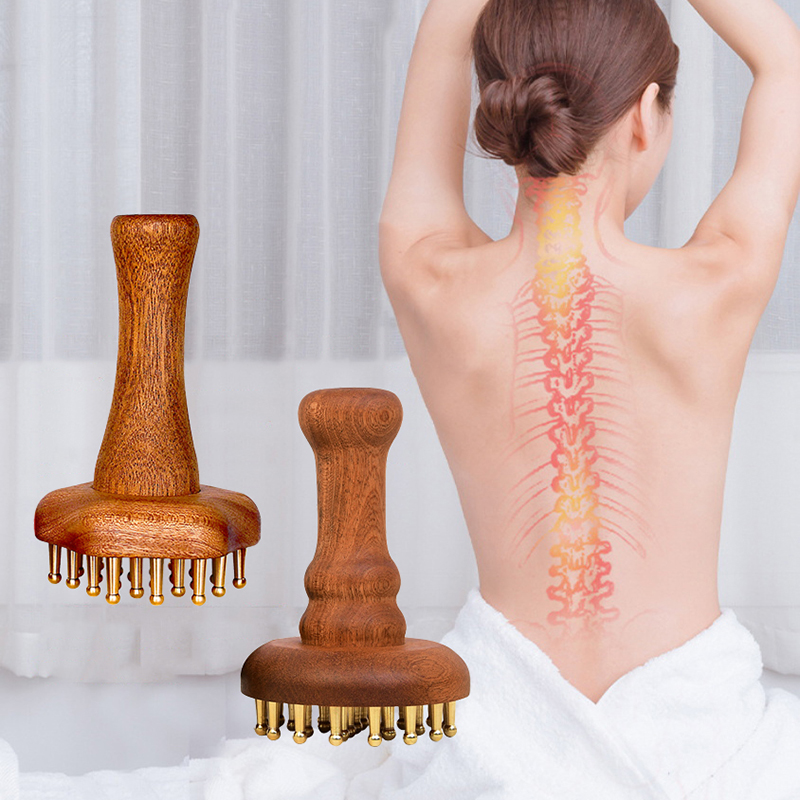 Outil Gua Sha chinois Durable  - Gardening Tools Long Handle avis et prix