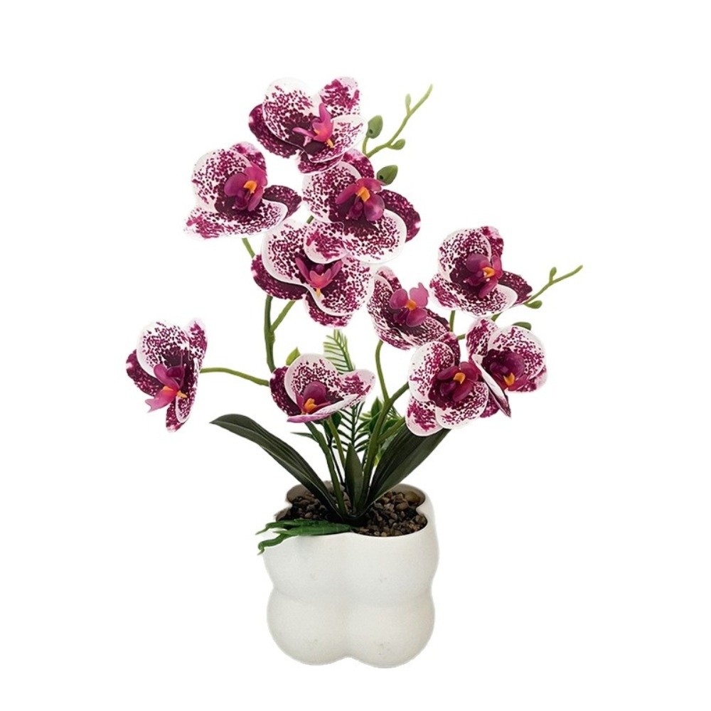 Orchidée Papillon Artificielle - Orchid Potting Mix avis et prix