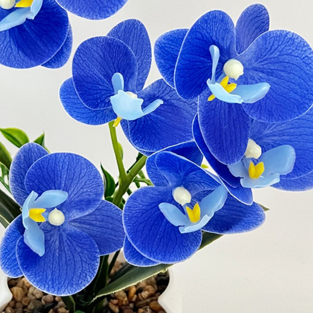 Orchidée Papillon Artificielle - Orchid Potting Mix avis et prix