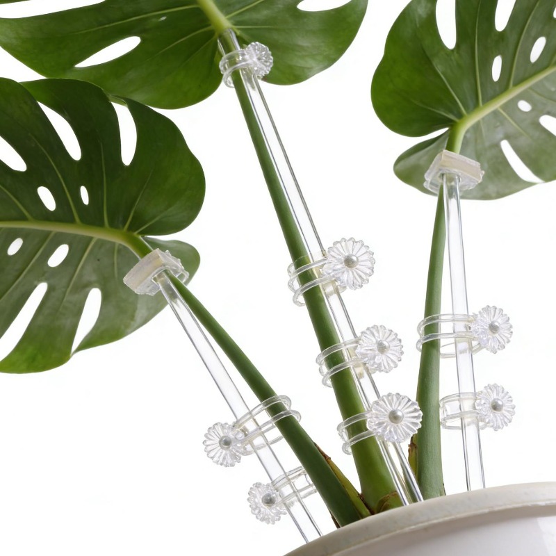 Tuteurs transparents réutilisa - Orchid Potting Mix avis et prix