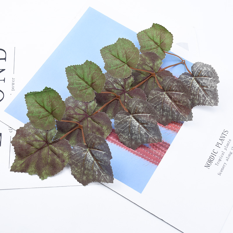 30/100 pièces feuille d'érable - Orchid Potting Mix avis et prix