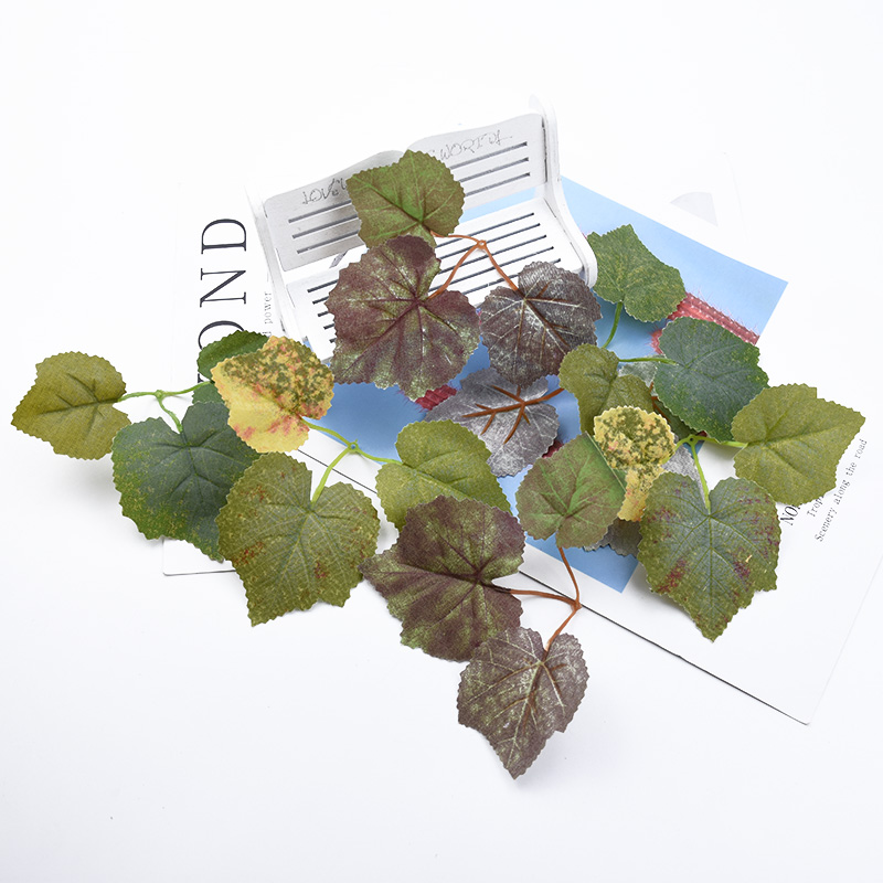 30/100 pièces feuille d'érable - Orchid Potting Mix avis et prix