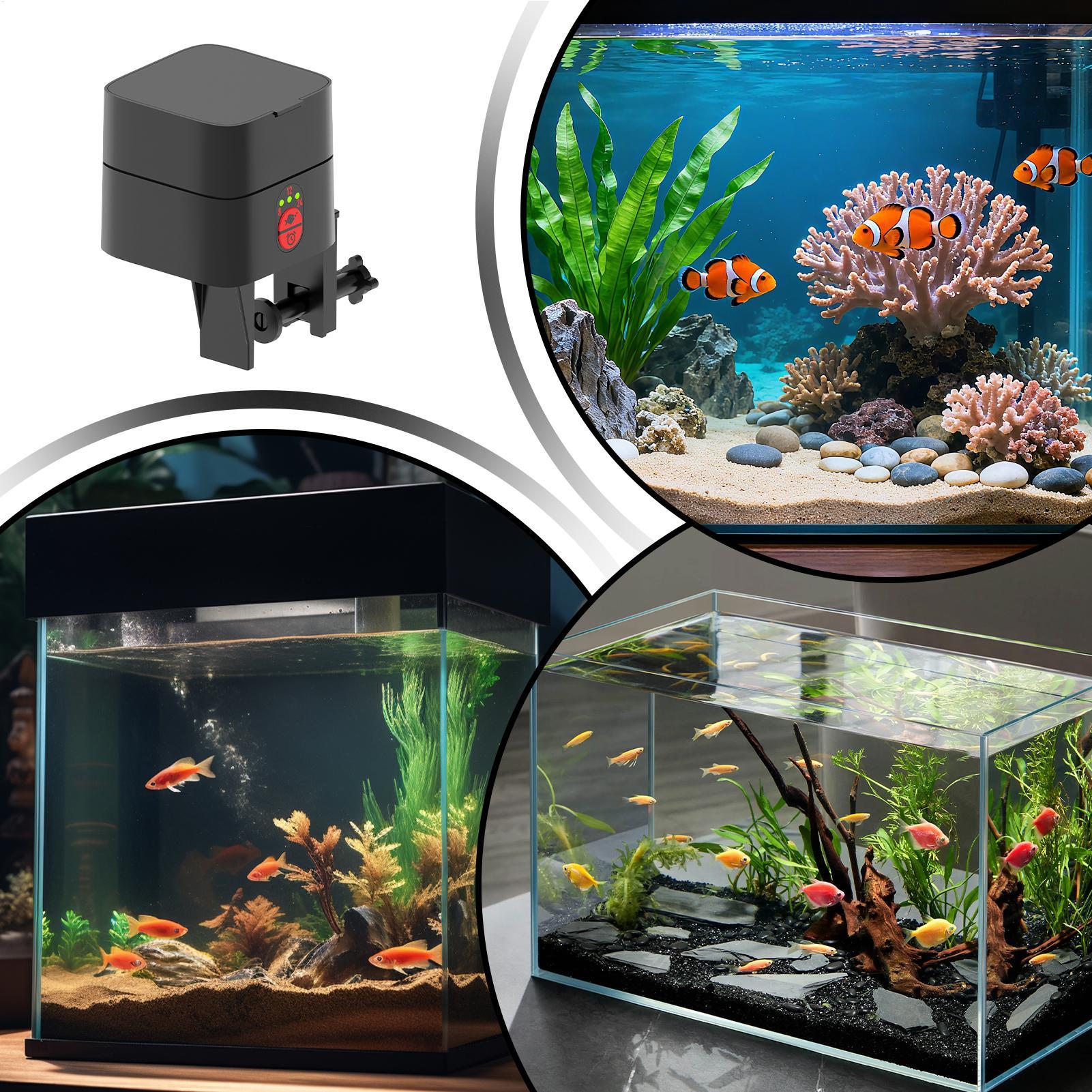 Distributeur automatique de no - Fertilizer Dispenser avis et prix