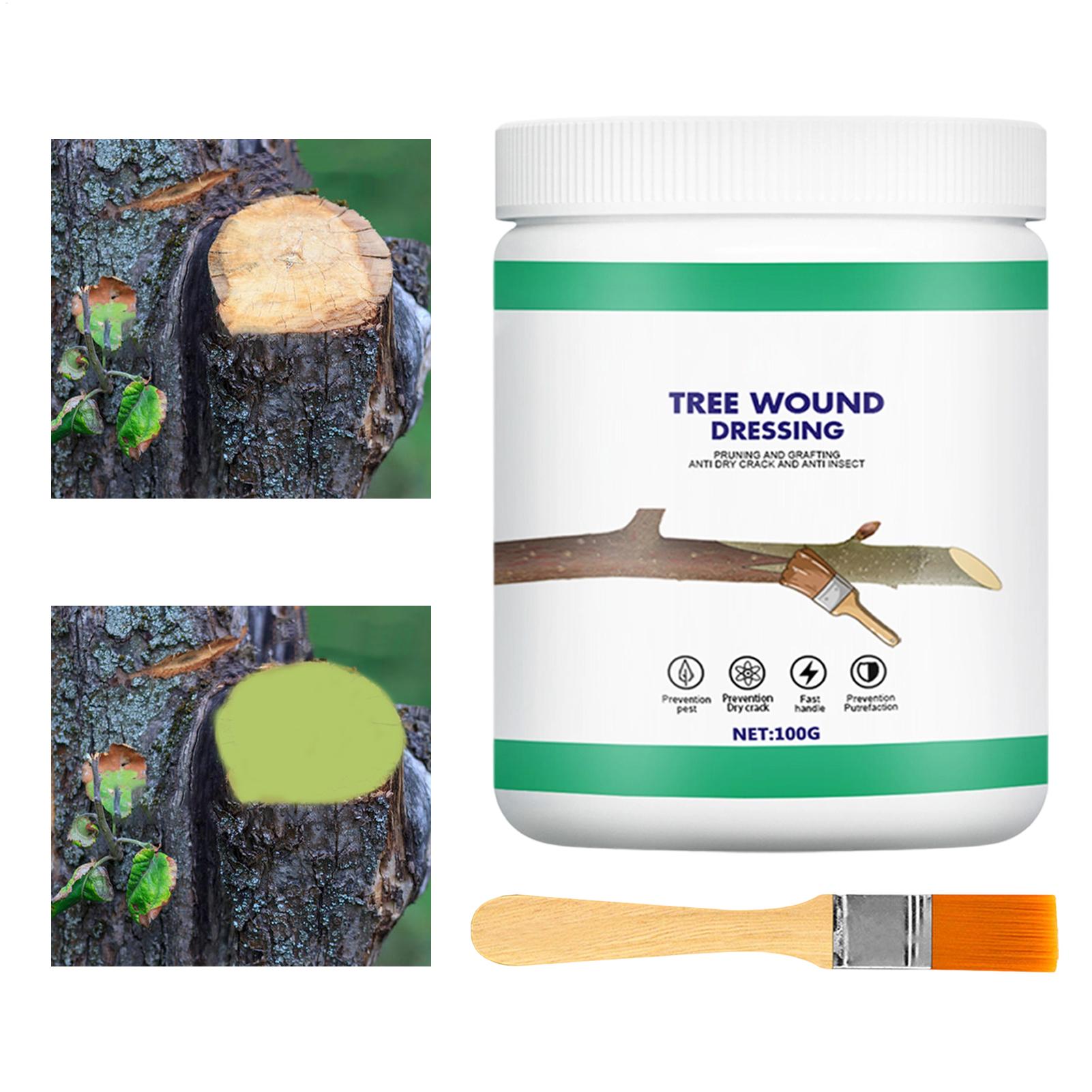 Pâte de greffage d'arbres, Pât - Gardening Tools Wholesale avis et prix