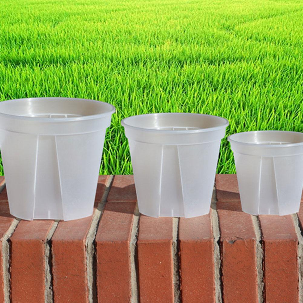 Pots de fleurs en plastique tr - Orchid Potting Mix avis et prix