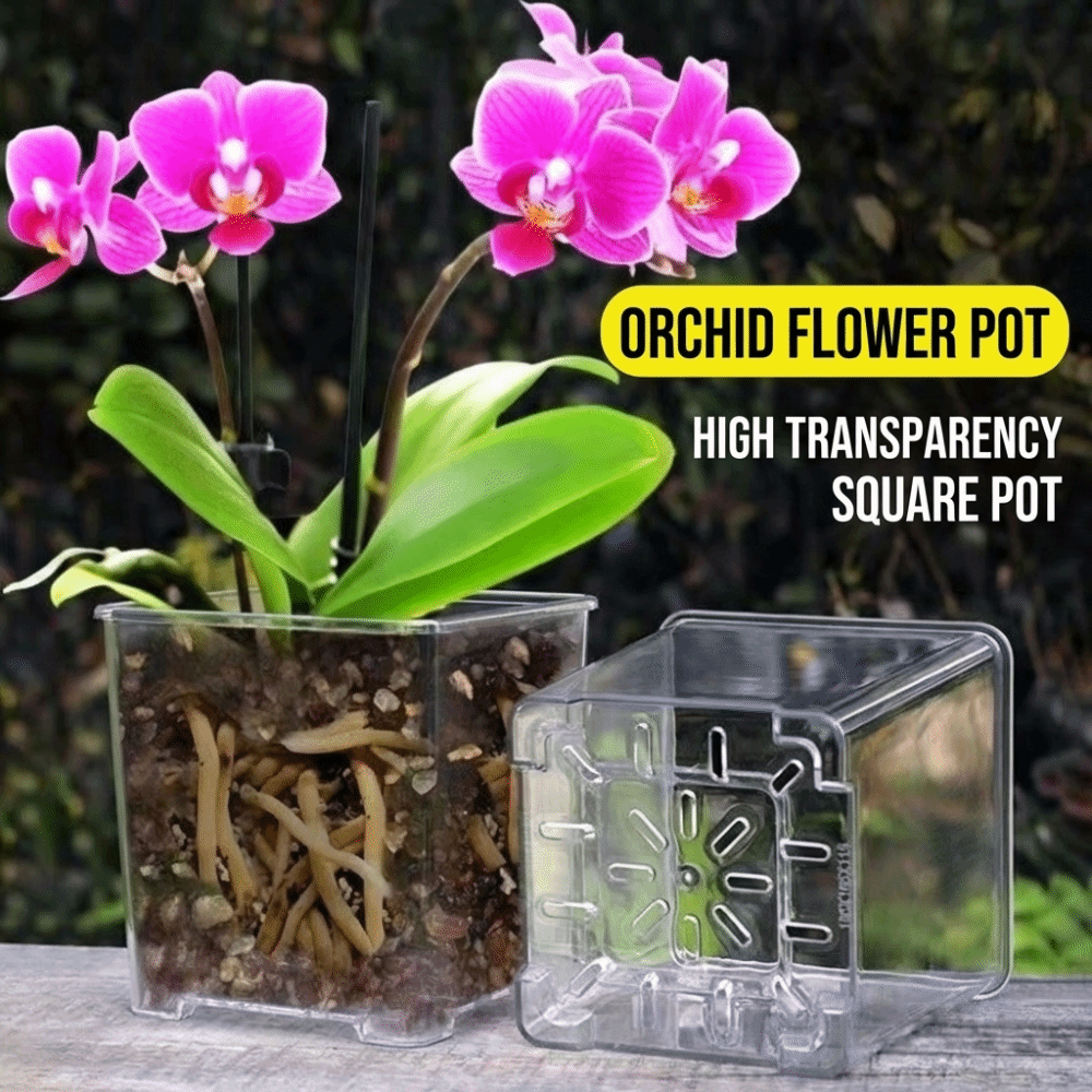 Pot de plantation en acrylique - Orchid Potting Mix avis et prix